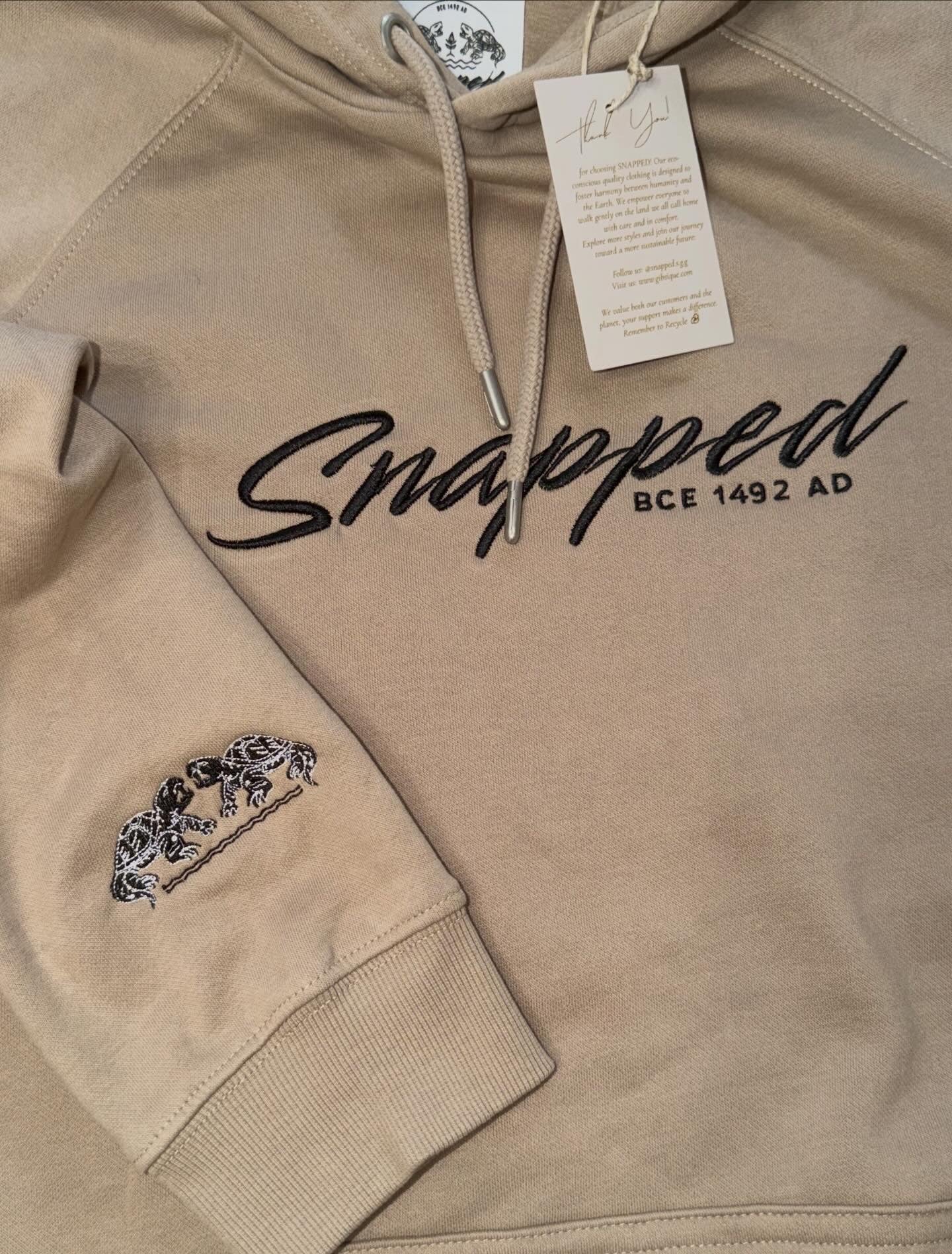 Standard Hooded Sweater (Medium Weight)